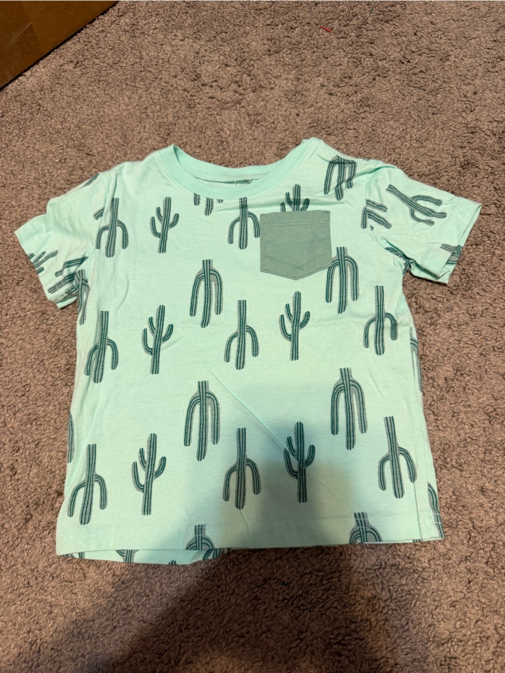 Mint Green Cactus Print Tee